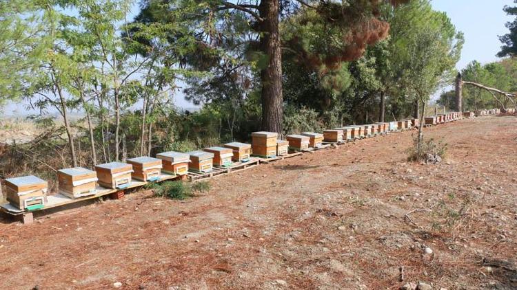 Babasından devraldı, kendi işinin patronu oldu Devlet desteğiyle 3 katına çıktı