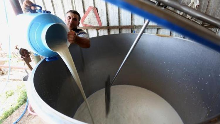 Sütün litresine 30 kuruşluk zam, üreticileri sevindirdi