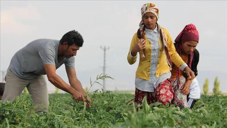 Kırsaldaki kadınlara bakanlık desteği