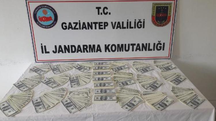 Gaziantepte sahte dolara: 2 gözaltı