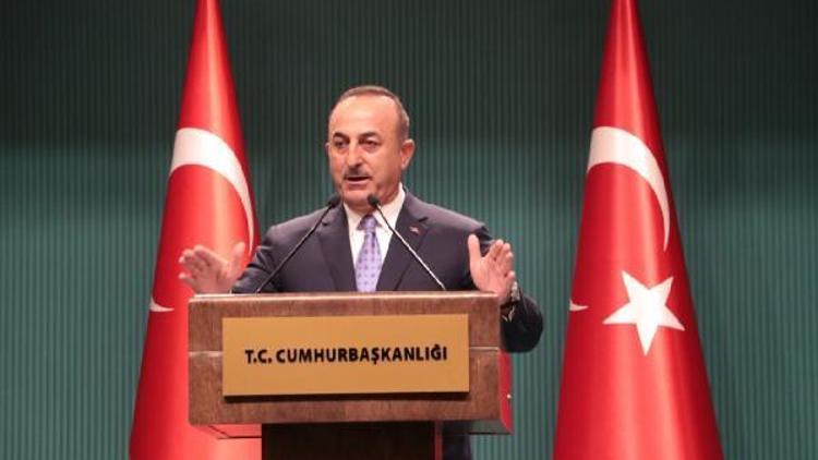 Çavuşoğlu: Barış Pınarı operasyonuna ara verdik