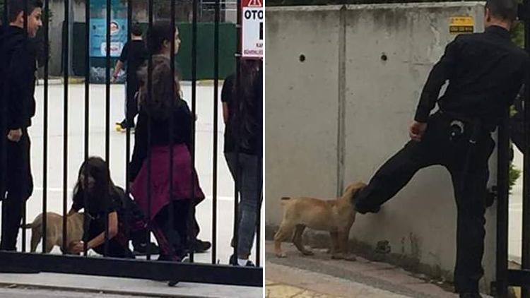 Ayağıyla uzaklaştırmaya çalıştığı köpeği, çocuklar isteyince okula aldı