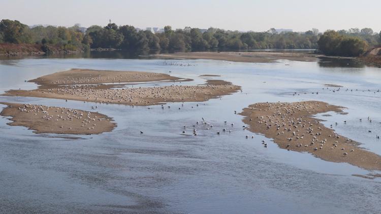 Meriç Nehri’nin su seviyesi düştü, kum adacıkları oluştu