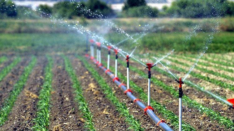 İzmir’de sulu tarım ile 415 milyon TL gelir