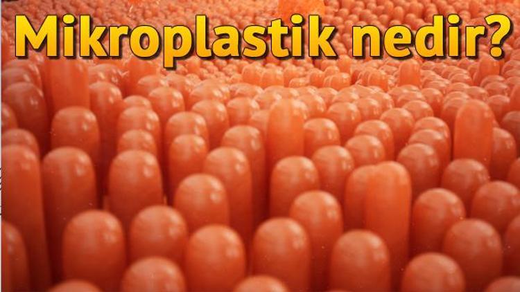 Mikroplastik nedir