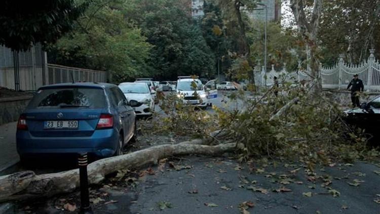 Beşiktaşta ağaç devrildi, yol kapandı...