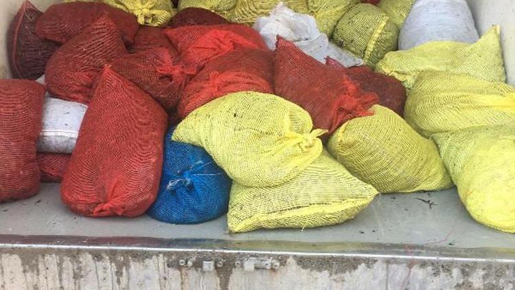 Edirnede 1 ton 600 kilo kaçak midye ele geçirildi