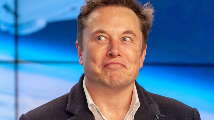 Elon Musk,  20 milyon ağaç için 1 milyon dolar bağışta bulundu