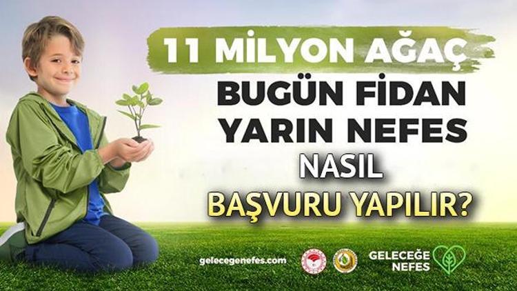 Geleceğe Nefes kampanyasına nasıl başvuru yapılır Geleceğe Nefes 11 Milyon Fidan kampanyası nedir