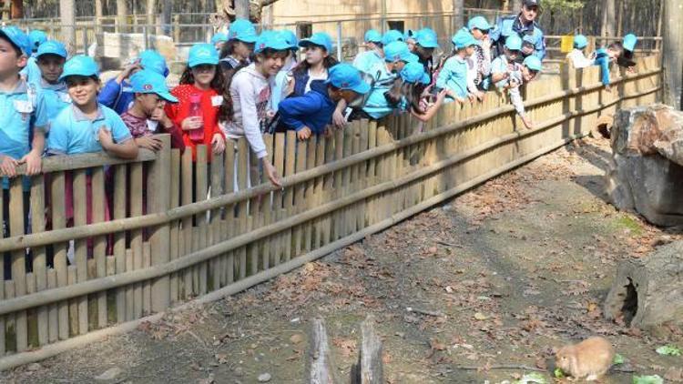 Polis çocuklar için Ormanya gezisi düzenledi