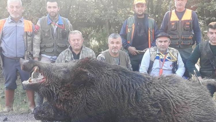 Avladıkları 400 kiloluk domuz ile hatıra fotoğrafı çektirdiler