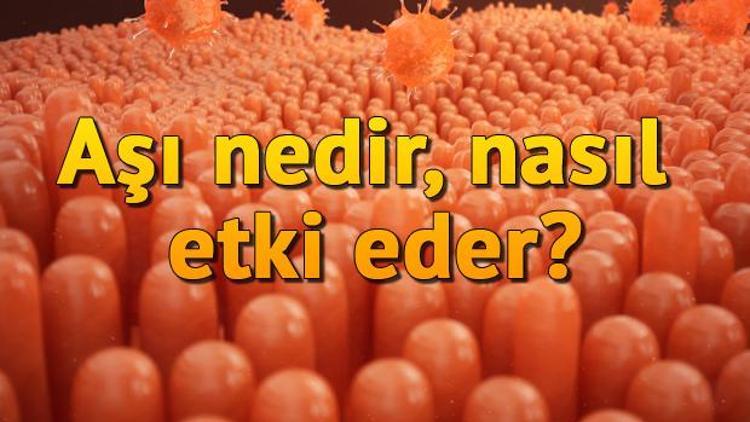 Aşı nedir, nasıl etki eder