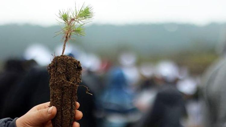 Geleceğe Nefes projesinde geri sayım başladı.. Fidanlar ne zaman dikilecek