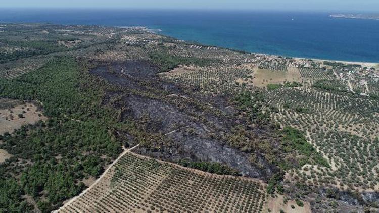 Çanakkaledeki 52 orman yangınında 222 hektar alan kül oldu
