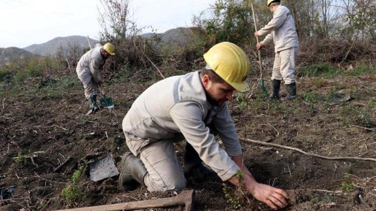 Maden işçileri fidan dikti