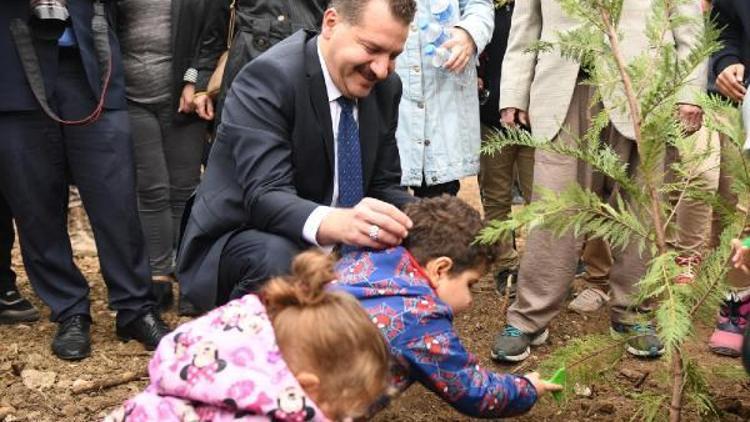 Balıkesirde, 377 bin fidan toprakla buluşturuldu