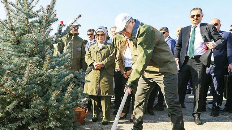 Hedef zümrüt yeşili Türkiye