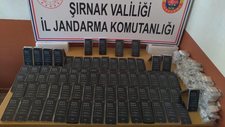 Şırnakta kaçakçılık operasyonu: 46 gözaltı