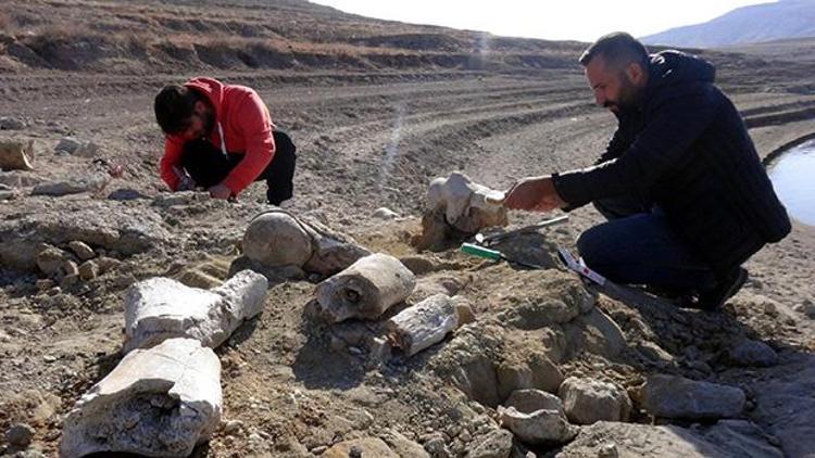 Balık tutmaya gelen kişi ihbar etti Kayseride 7,5 milyon yıllık yeni fosil bulundu