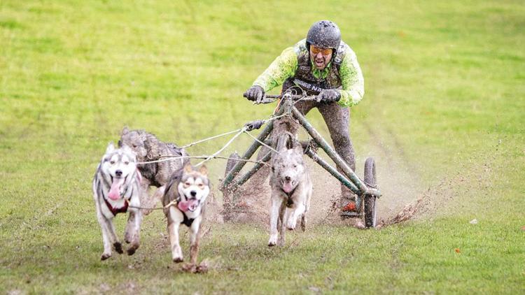 Bir garip yarışma: Dünya Köpek Kızağı Şampiyonası