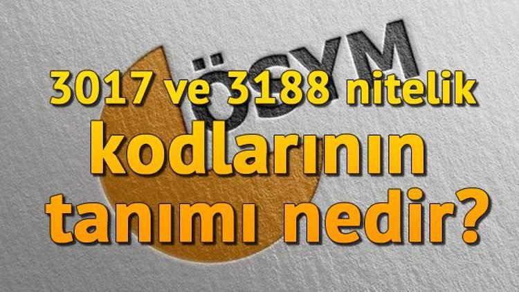 Nitelik kodu nedir 3017 ve 3188 nitelik kodlarının tanımı nedir