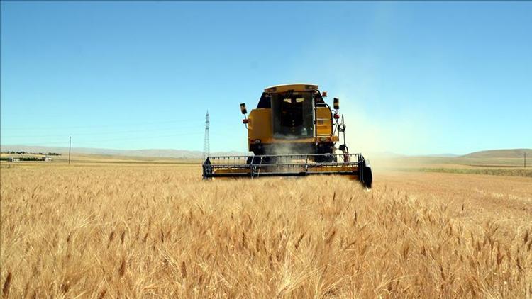 İç Anadolu çiftçisi Hububat Ticaret Merkezi ile daha karlı satış yapacak