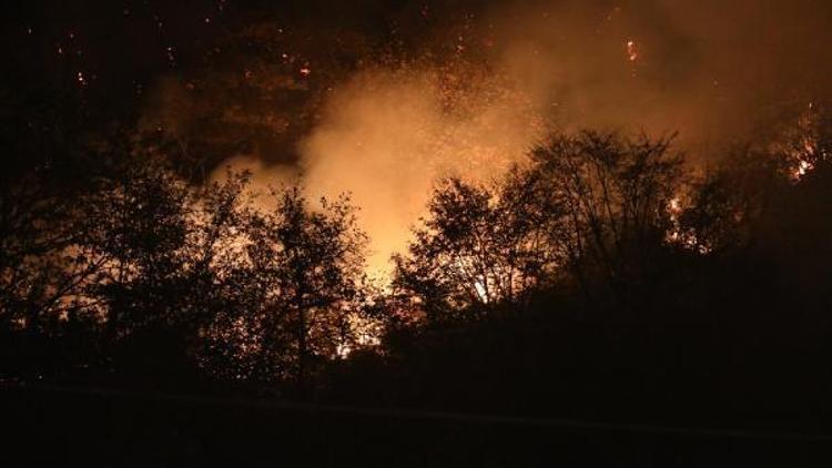Anız ateşi ormanı yaktı