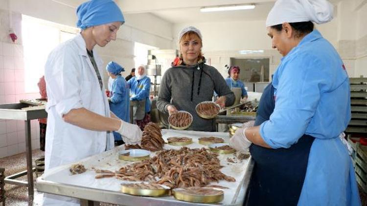 Gelibolu’da Rumlardan kalma 200 yıllık lezzet; tuzlu balık