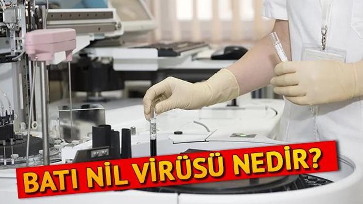 Batı Nil Virüsü nedir nasıl bulaşır İşte Batı Nil Virüsü belirtileri