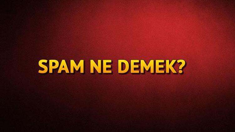 Spam ne demek