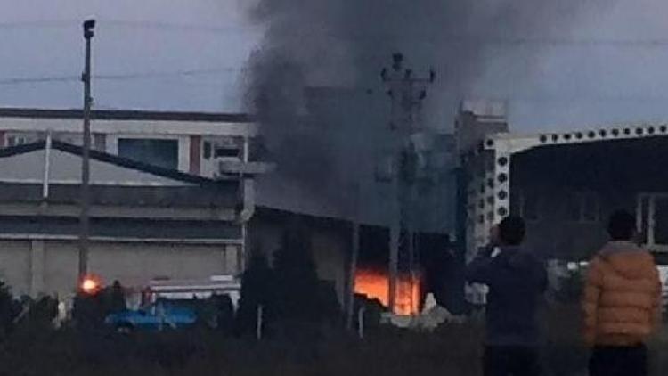 Son dakika haberleri: Fındık fabrikasında korkutan yangın