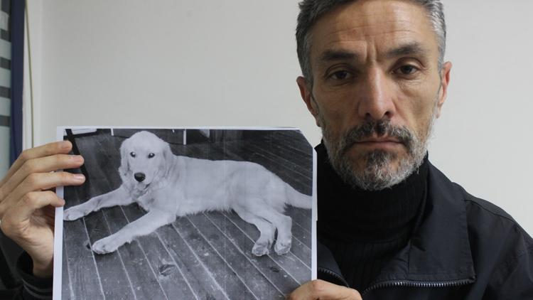 Akıllara durgunluk veren olay Bursa’da çalınan köpeğini Amerikada buldu