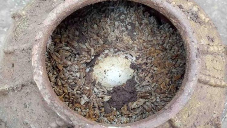 Çinde küpte pirinç içine gömülmüş en az 500 yıllık yumurtalar bulundu