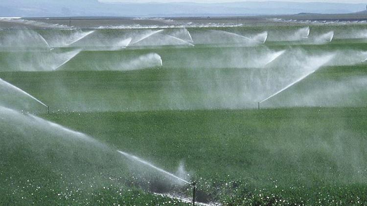 Diyarbakırda tarım arazileri suyla buluşuyor