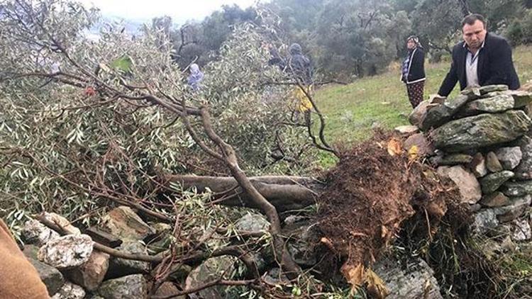 Yıktı geçti... Evlerde hasar var ağaçlar yerinden söküldü