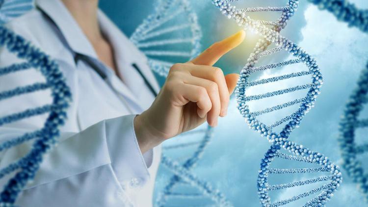 Bilim insanları, çiğnediği sakızdan 6 bin yaşındaki kadının DNAsına ulaştı