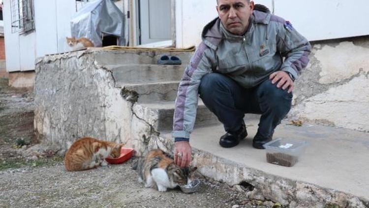 Beslediği 6 sokak kedisi bir ay içinde öldürüldü
