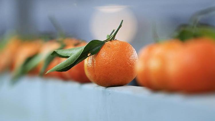 Rusyaya en çok mandarin ihraç edildi