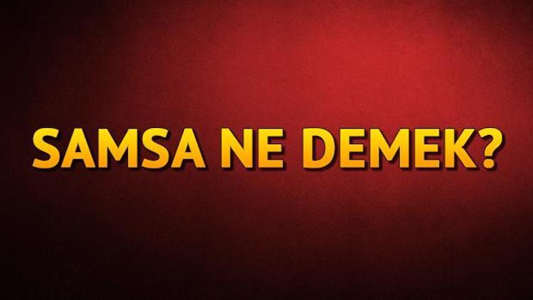 Samsa isminin anlamı nedir Samsa ne demek