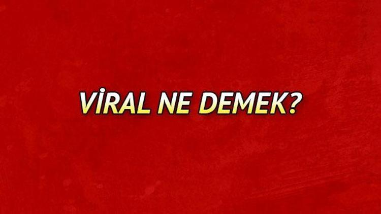 Viral ne demek Viral nedir Viral reklam ve pazarlama ile ilgili bilgier