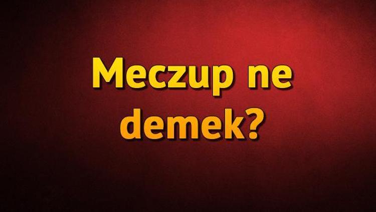 Meczup nedir Meczup TDK kelime anlamı