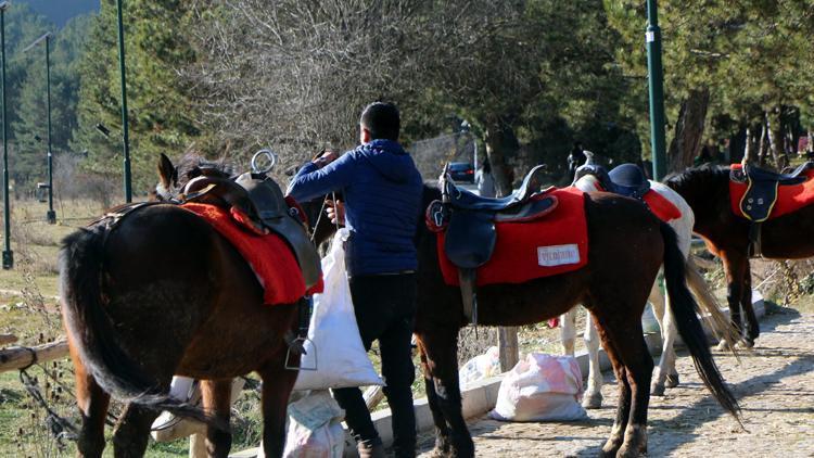 Abantta karantinaya alınan atların sahiplerinde ruam bulgusuna rastlanmadı