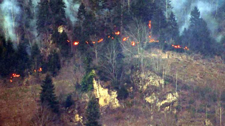 Son dakika haberi: Trabzon Valiliğinden yangın açıklaması