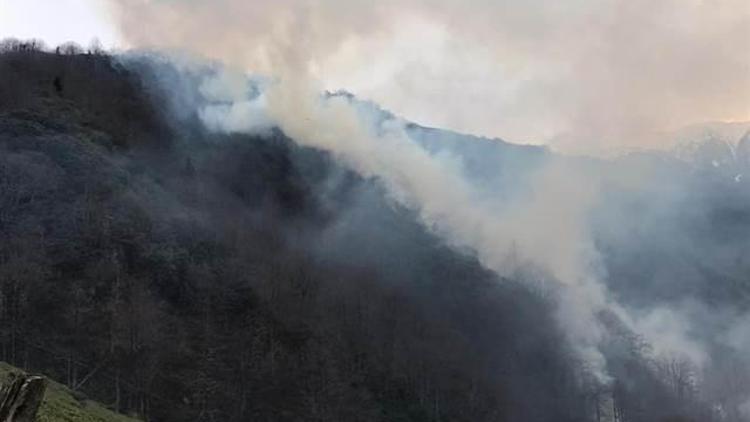 Giresun Valiliğinden örtü yangınlarıyla ilgili açıklama