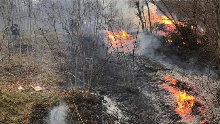 Son Dakika: Ordu ve Giresundaki yangınlar söndürüldü