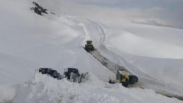 Van, Hakkari ve Bitliste kardan kapanan yollar açılıyor