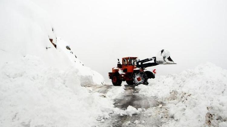 Tuncelide kar 1 metreyi aştı, 150 köy yolu kapandı