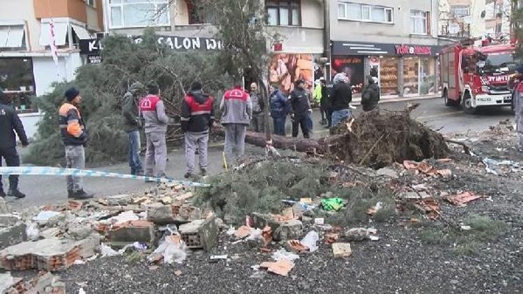 Ümraniyede fırtına ağaç devirdi