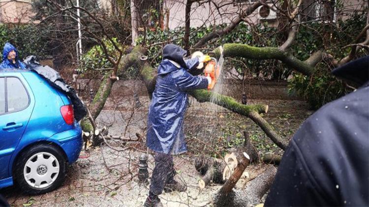 Kadıköy’de ağaç otomobilin üstüne devrildi