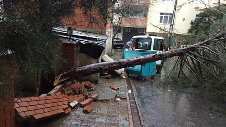 İstanbulda fırtınada 108 çatı uçtu, 128 ağaç devrildi, 3 istinat duvarı çöktü